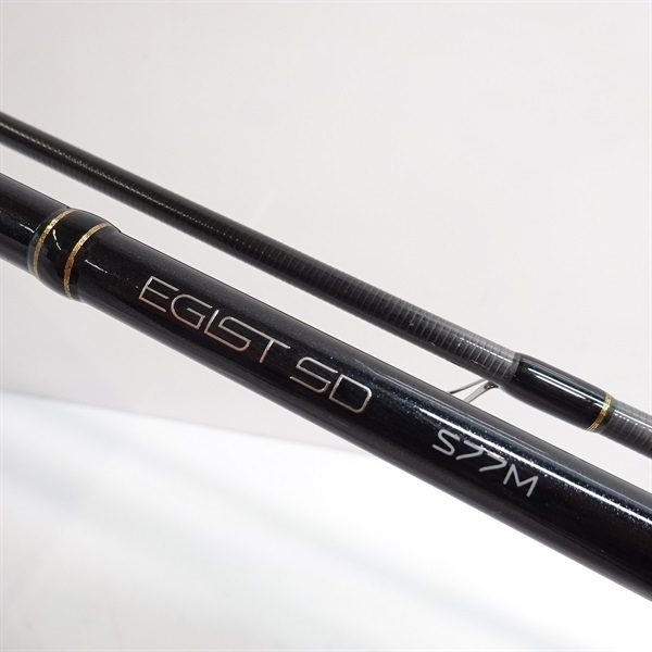 ２５エギストＳＤＳ７７Ｍ